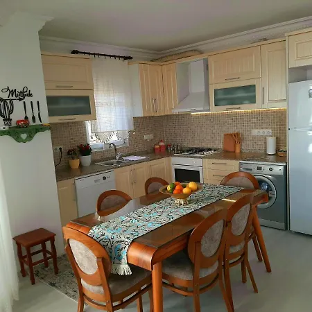 Manolyam Kaş